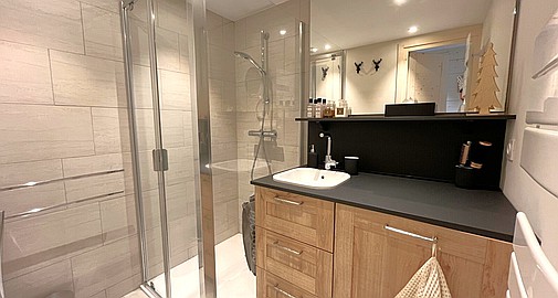 Meribel, Savoie, Rhone Alps