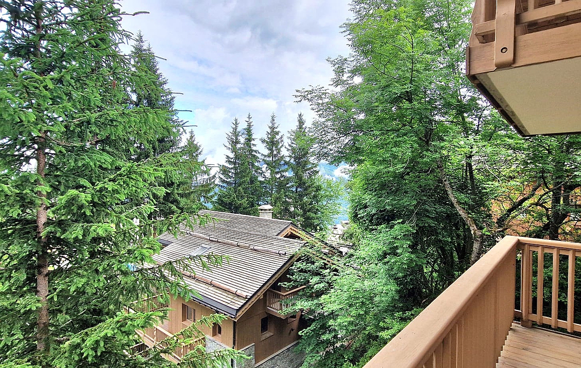 The chalets for sale in La Tania