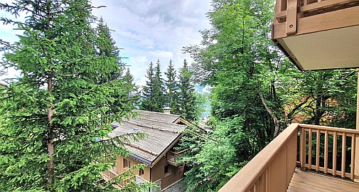 La Tania, Savoie, Rhone Alps