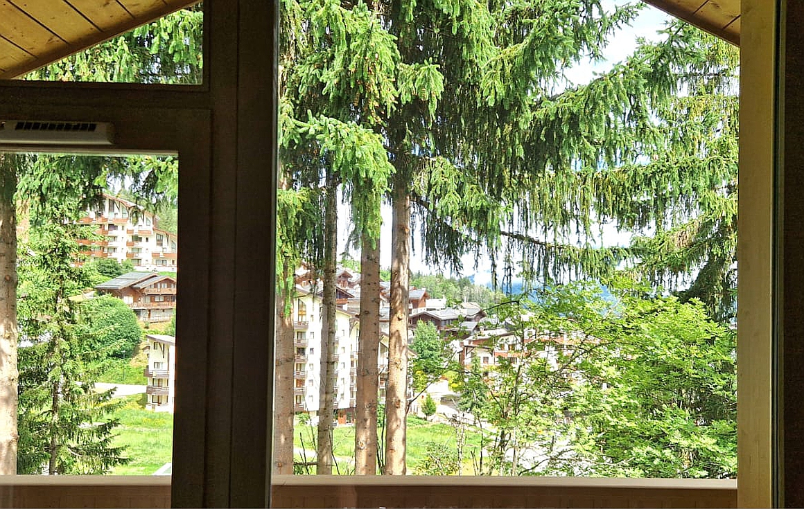 The chalets for sale in La Tania