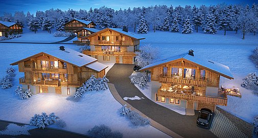 The chalet for sale in Praz sur Arly