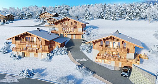 The chalet for sale in Praz sur Arly