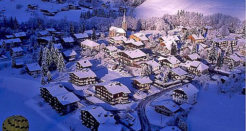 The chalet for sale in Praz sur Arly