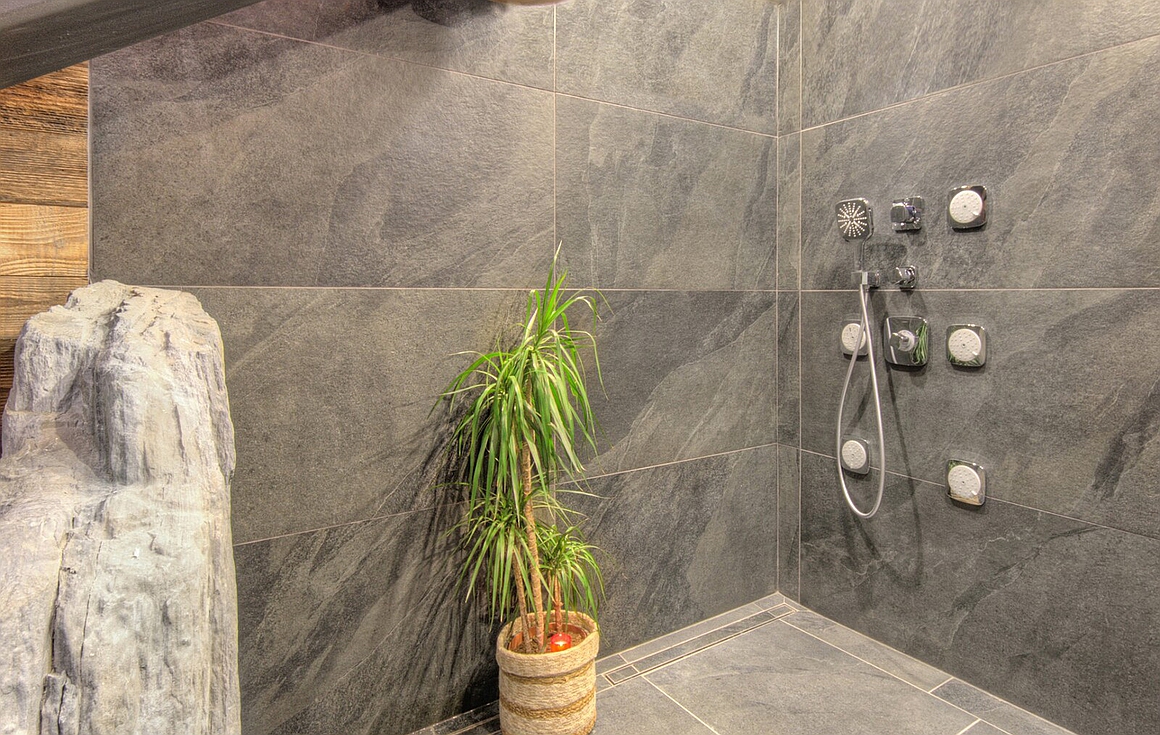 The chalet for sale in La Plagne