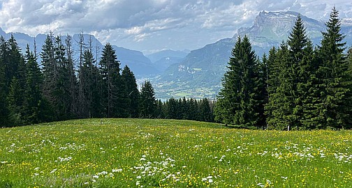 Saint-Gervais-les-Bains, Haute-Savoie, Rhones Alps