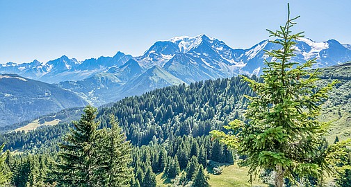 Saint-Gervais-les-Bains, Haute-Savoie, Rhones Alps