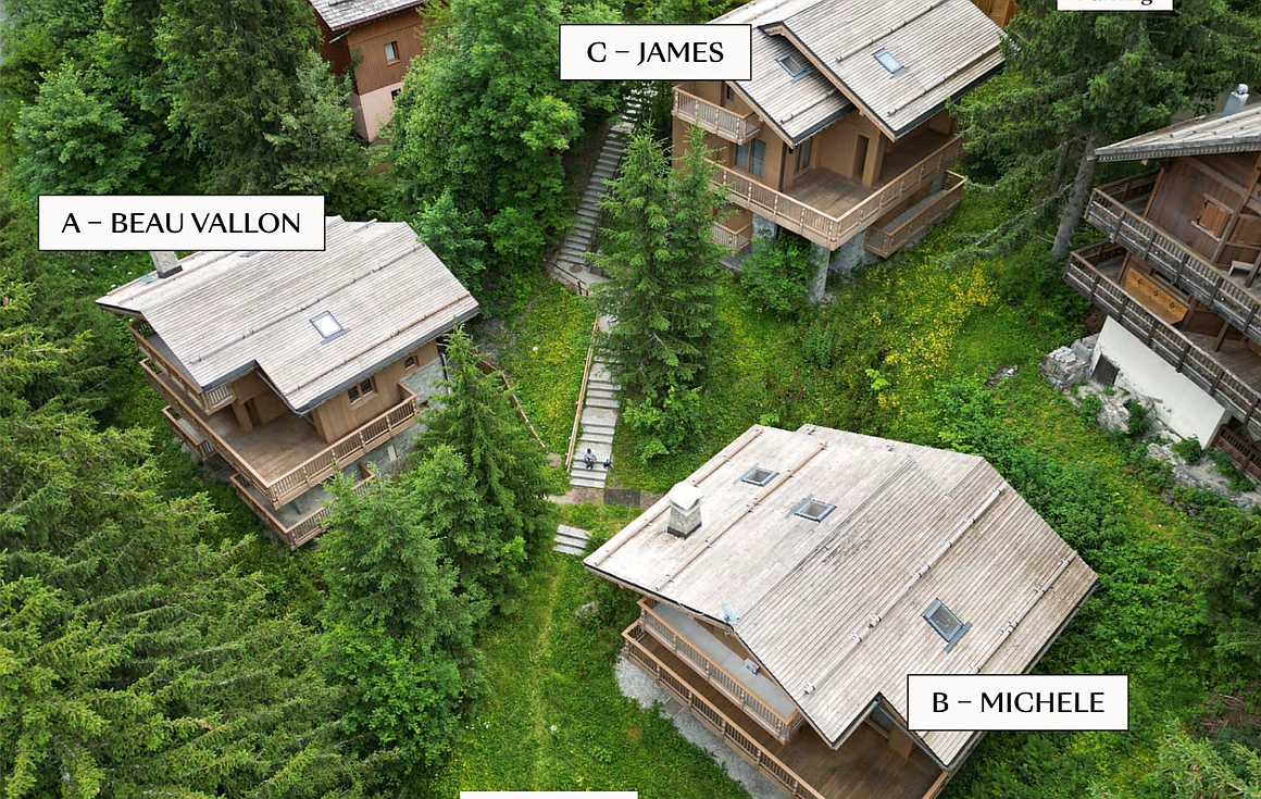 The chalet for sale in La Tania