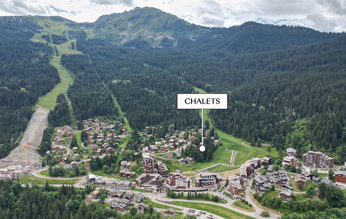The chalet for sale in La Tania
