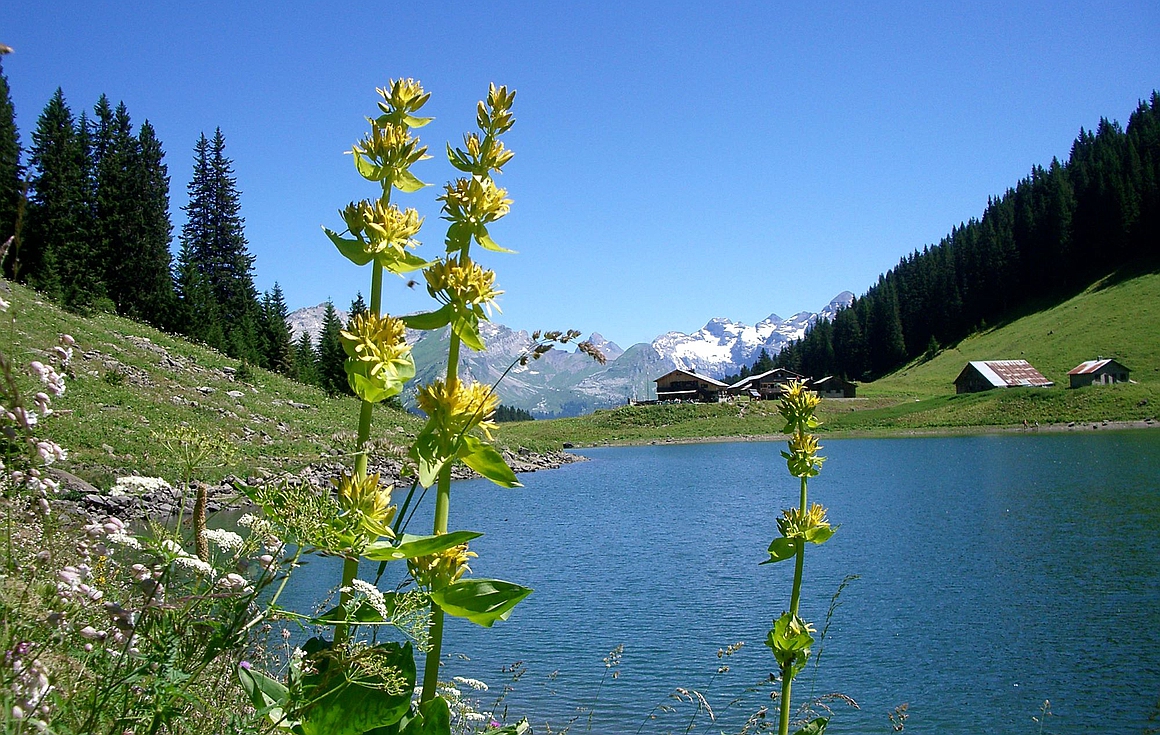 The village of Samoens