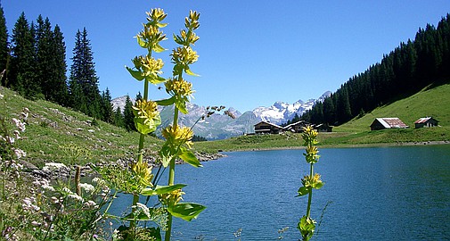 Samoens, Haute Savoie, Rhone Alpes
