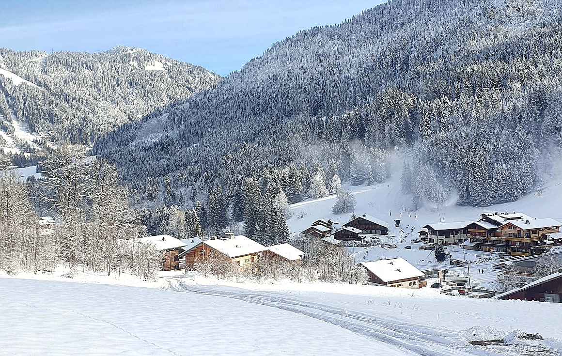 The brand new chalets for sale in Chatel